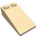 30363 - Tan - Slope 18Â° 4 x 2
